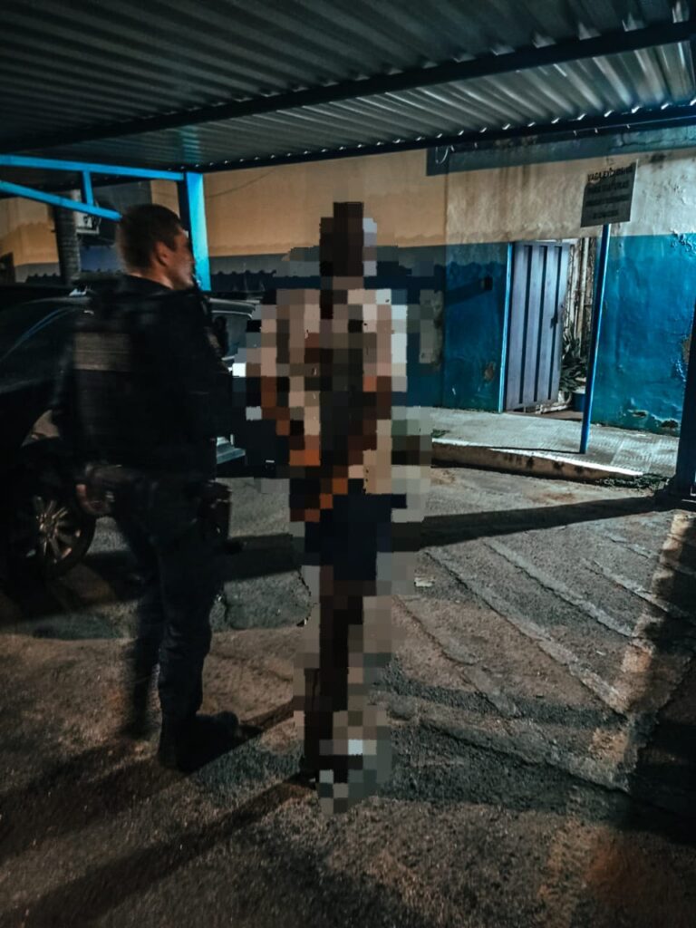 Guarda Civil Municipal apreende drogas e plantio ilegal de entorpecentes no bairro Belvedere